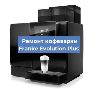 Чистка кофемашины Franke Evolution Plus от кофейных масел в Москве